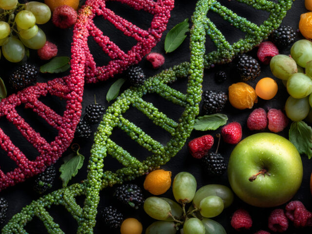 Piano alimentare personalizzato: come la nutrizione influenza salute e longevità Piano alimentare personalizzato come la nutrizione influenza salute e longevità